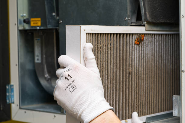 Best Affordable HVAC Duct Cleaning  in Walden, TN