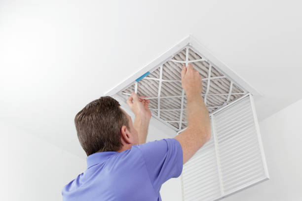 Best Ductwork Cleaning Services  in Walden, TN